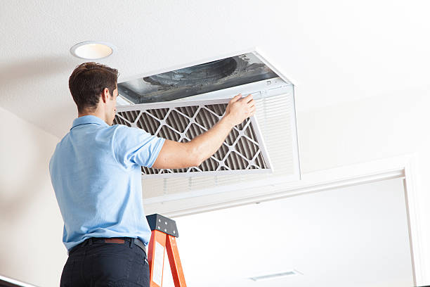 Best HVAC air duct cleaning  in West Lealman, FL